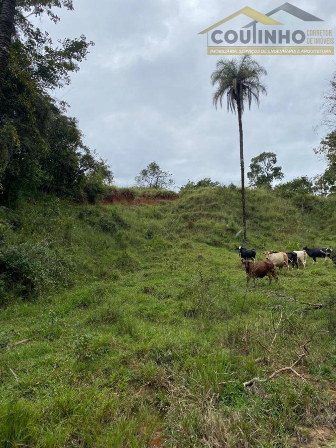 WhatsApp Image 2025-05-14 at 14.45.38.jpeg